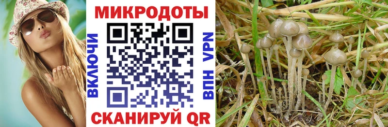Псилоцибиновые грибы прущие грибы  Северобайкальск 